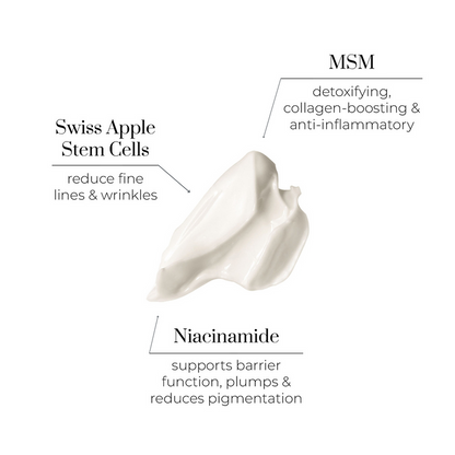 Bedtime Beauty Boost - Nutri-Active Nourishing & Regenerating Night Cream